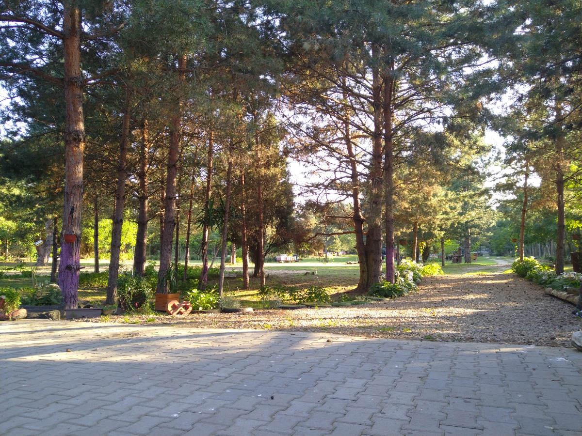 Slika nekretnine