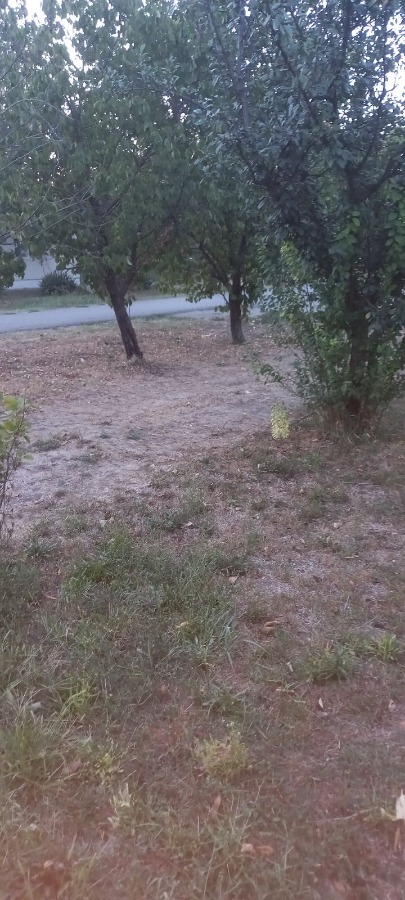 Slika nekretnine