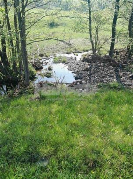 Slika nekretnine
