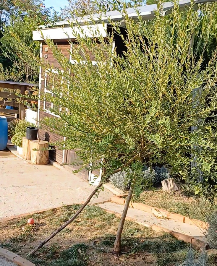 Slika nekretnine