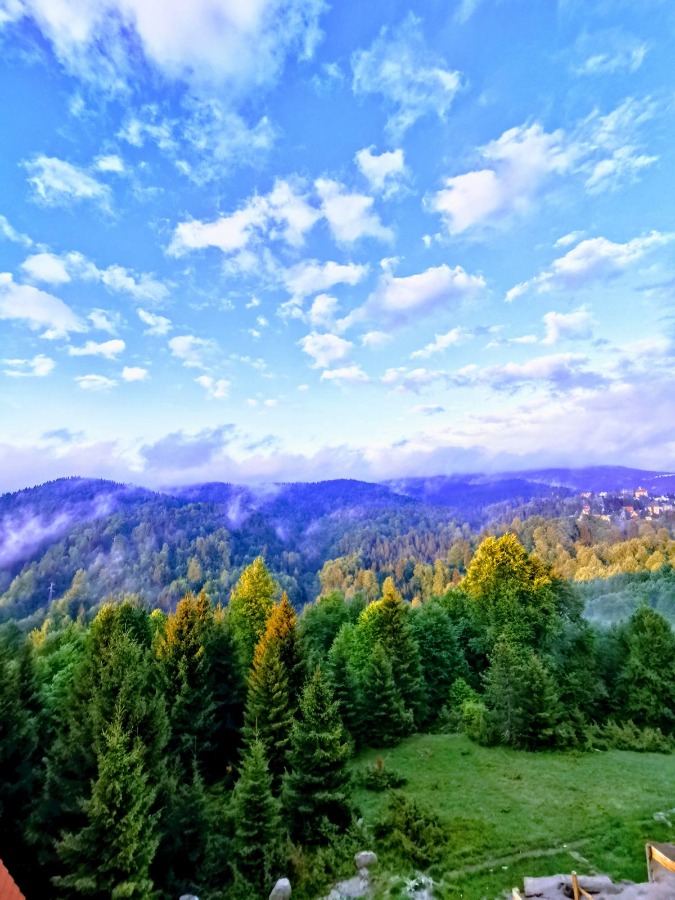 Slika nekretnine