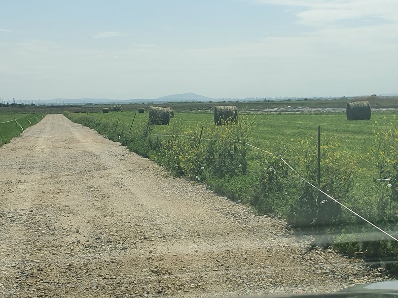 Slika nekretnine