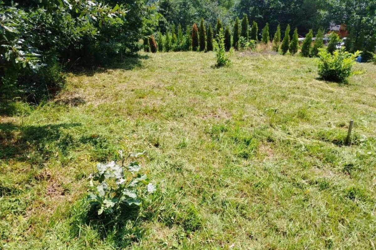 Slika nekretnine
